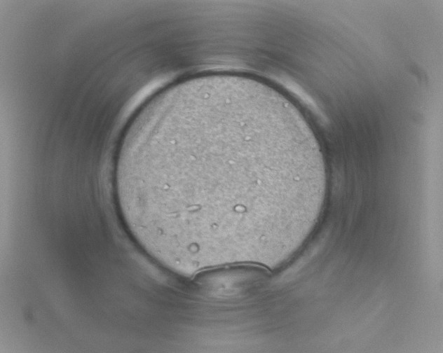 X0000115031325200911231104