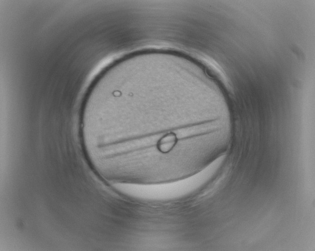 X0000115031326200911231104