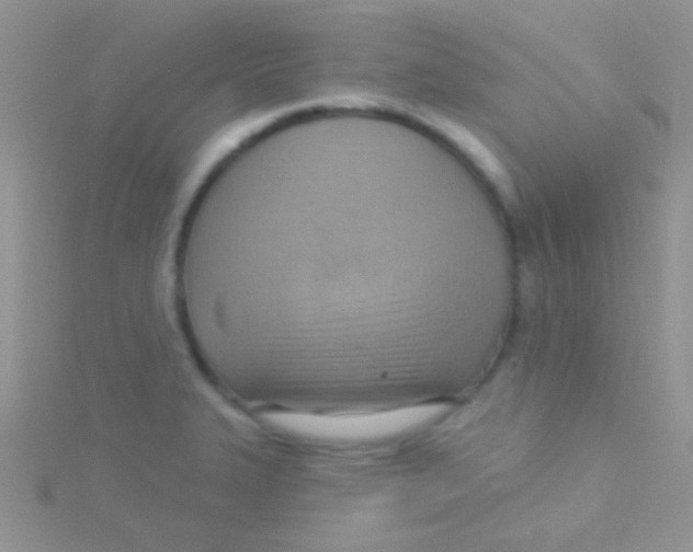 X0000115031327200911231104