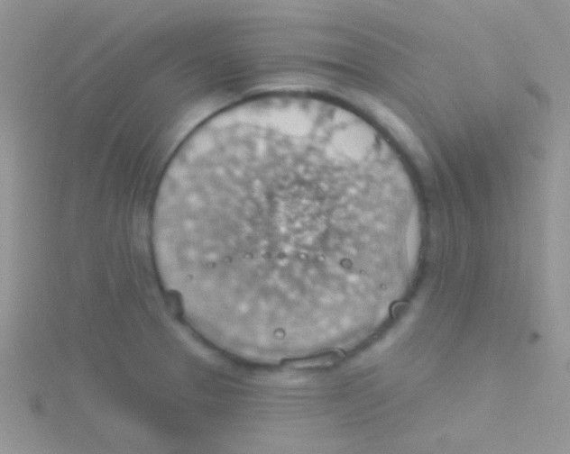 X0000115031329200911231104