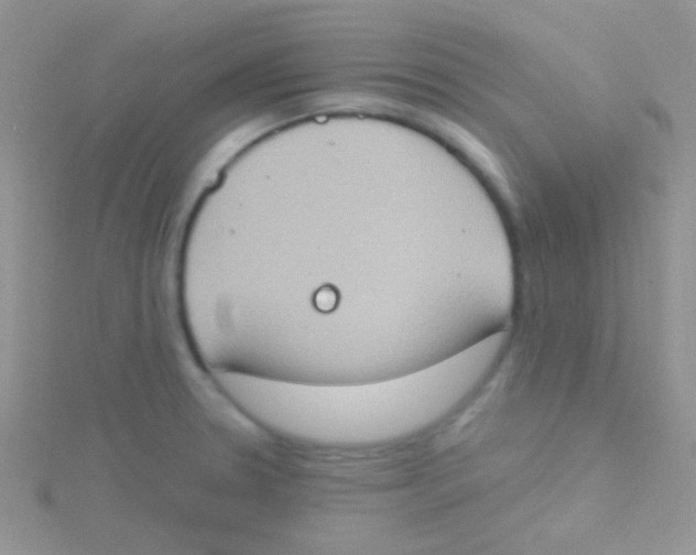 X0000115031330200911231104