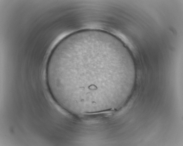 X0000115031331200911231104