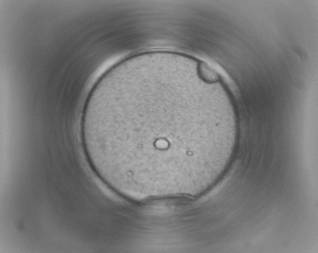 X0000115031333200911231104