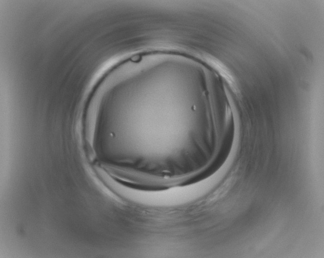 X0000115031334200911231104