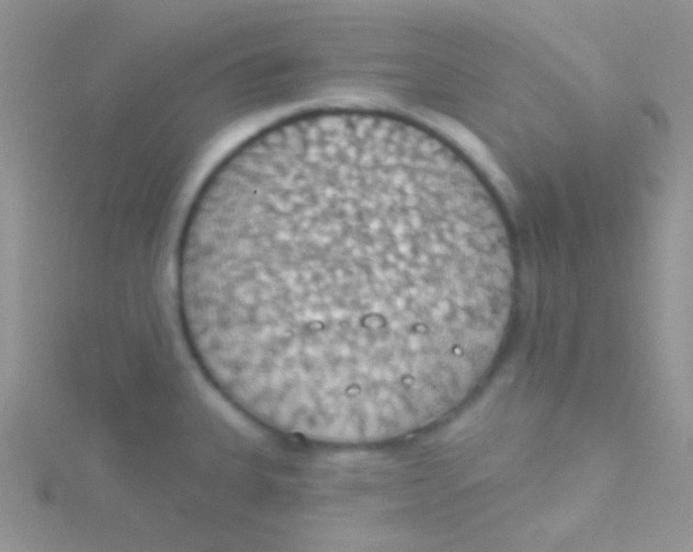 X0000115031335200911231104