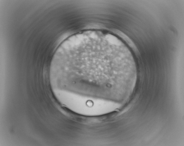 X0000115031337200911231104