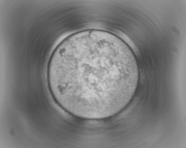 X0000115031339200911231104