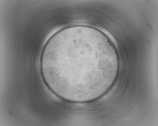 X0000115031341200911231104