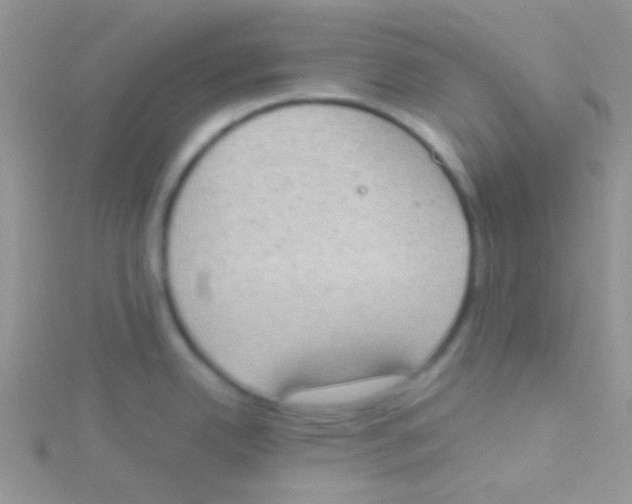 X0000115031342200911231104