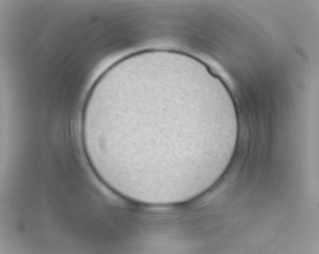 X0000115031343200911231104