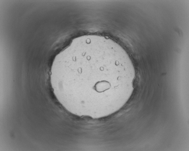 X0000115031349200911231103