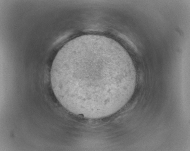 X0000115031350200911231103