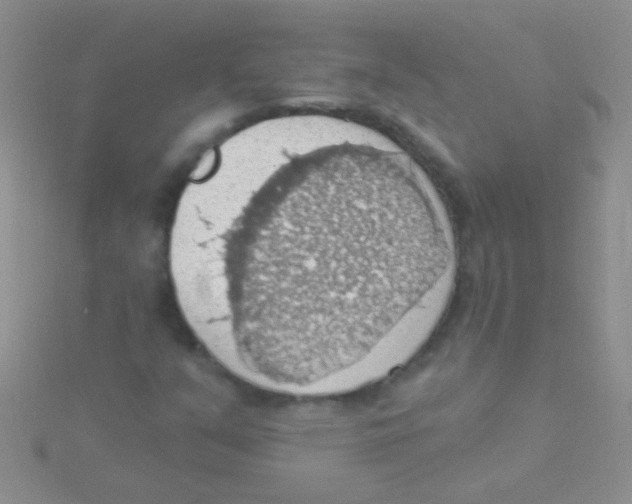 X0000115031351200911231103