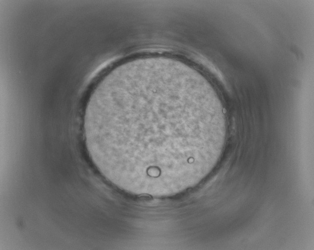 X0000115031352200911231103