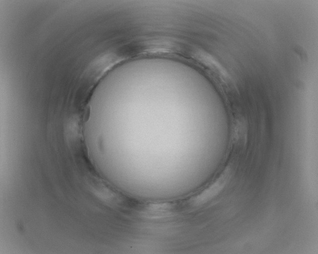 X0000115031353200911231103