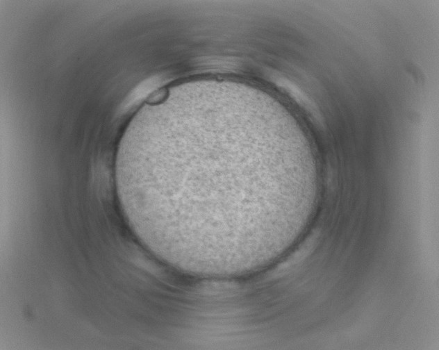 X0000115031354200911231103