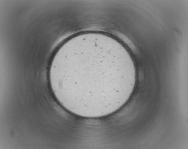 X0000115031356200911231103