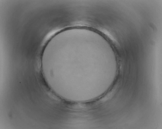 X0000115031358200911231103