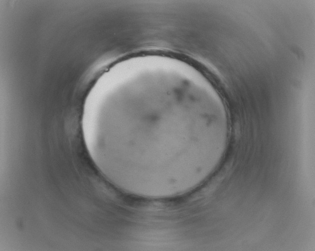 X0000115031359200911231103