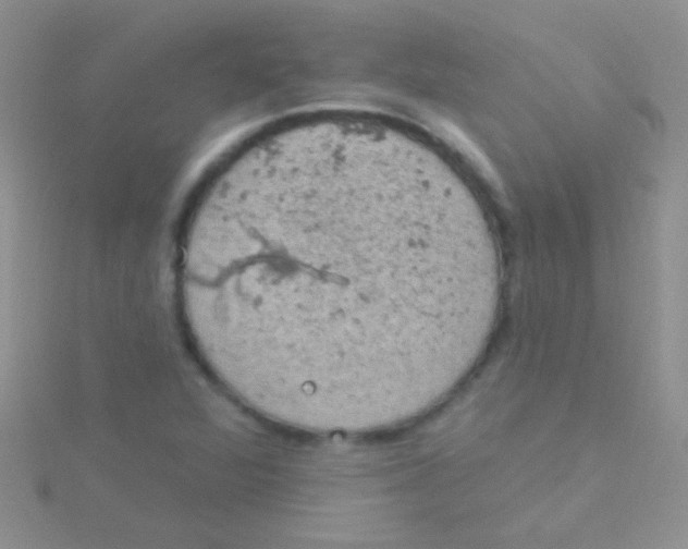 X0000115031360200911231103