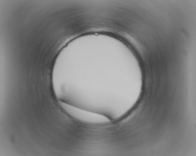 X0000115031361200911231103