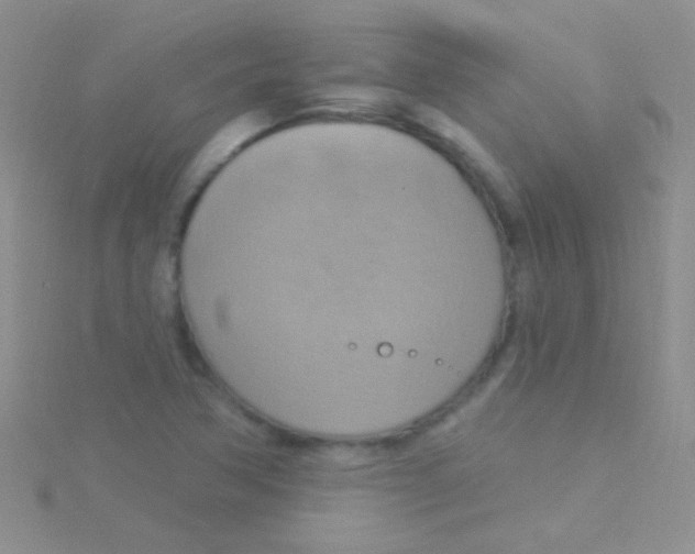 X0000115031362200911231103