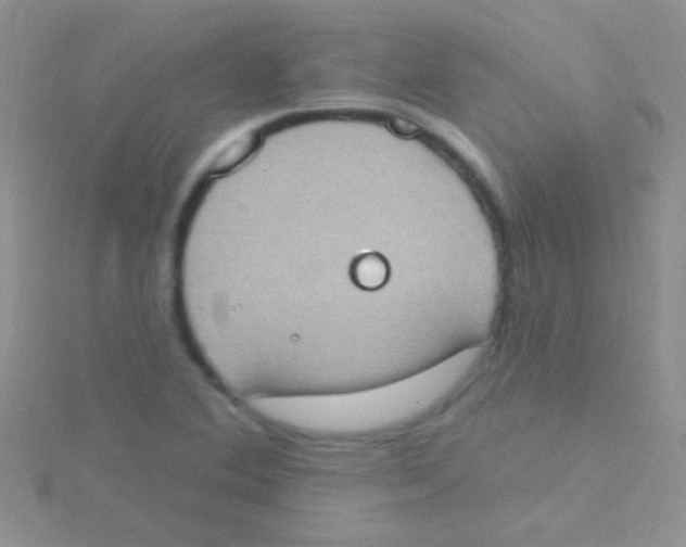 X0000115031364200911231103