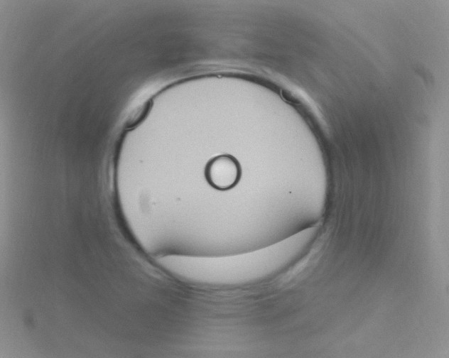 X0000115031365200911231103