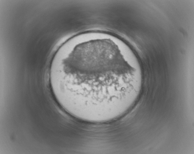 X0000115031367200911231103