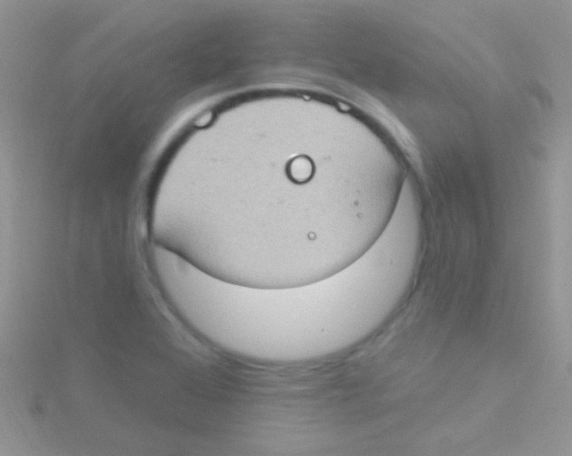 X0000115031368200911231103