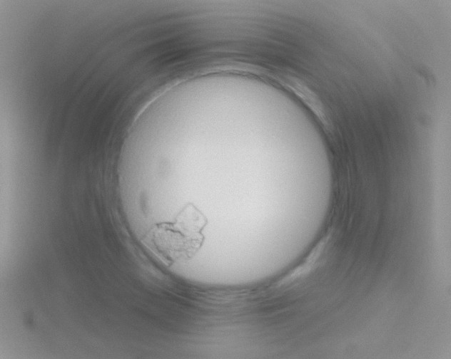 X0000115031369200911231103