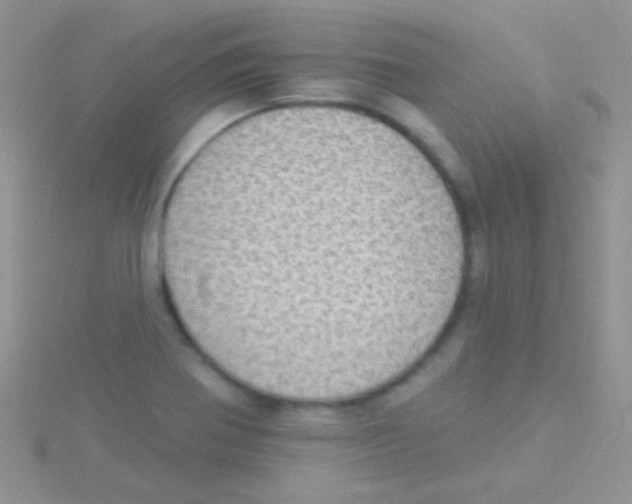 X0000115031370200911231103