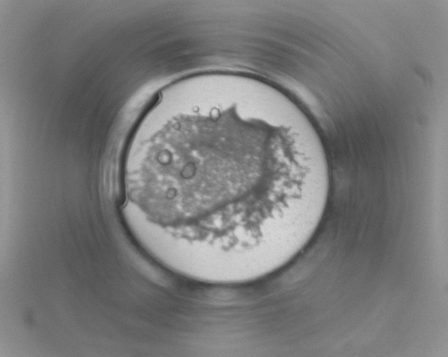 X0000115031371200911231103