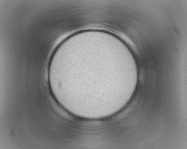 X0000115031372200911231103