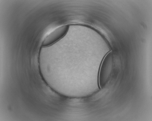 X0000115031373200911231103