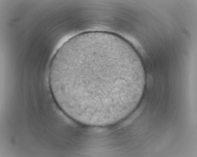 X0000115031374200911231103