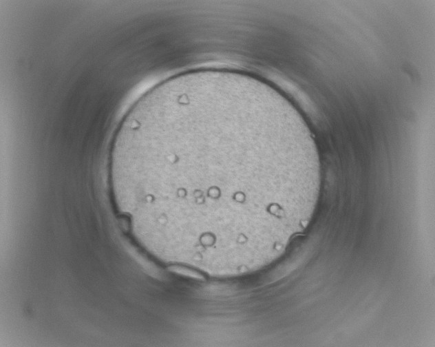 X0000115031375200911231103