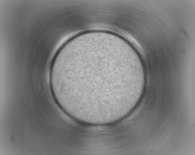 X0000115031376200911231103