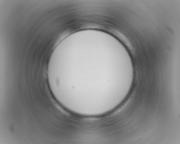 X0000115031377200911231103