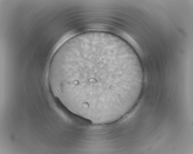 X0000115031378200911231103