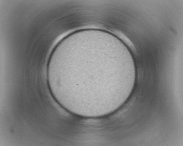 X0000115031380200911231103