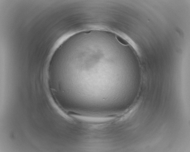 X0000115031381200911231103