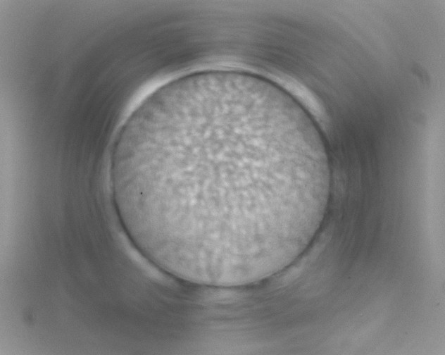 X0000115031382200911231103