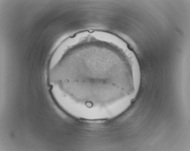 X0000115031383200911231103