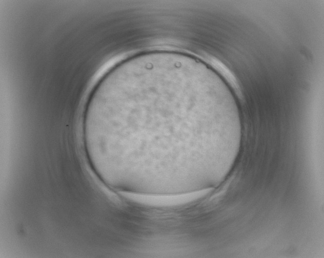 X0000115031384200911231103