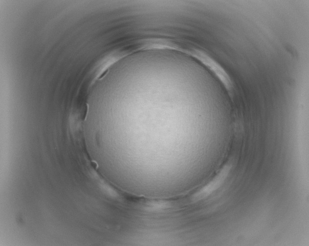 X0000115031385200911231103