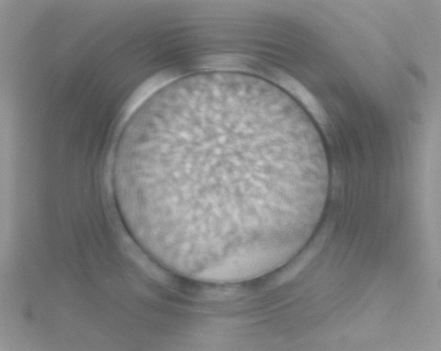 X0000115031386200911231103