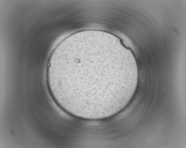 X0000115031387200911231103