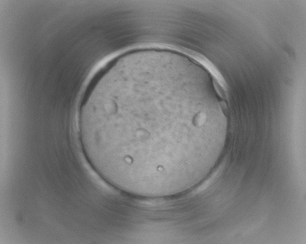 X0000115031388200911231103