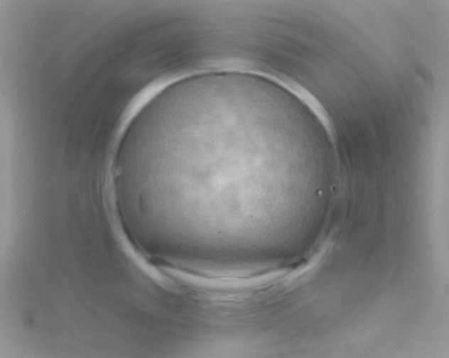 X0000115031389200911231103